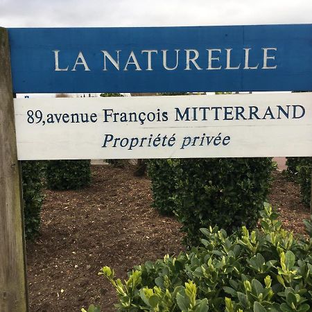 Vue Mer Sur La Cote D'Opale, Studio La Naturelle Pour 4 Personnes , Wimereux Exteriör bild